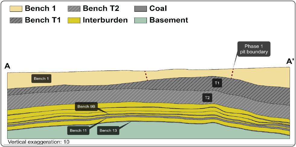 Thabametsi cross-section