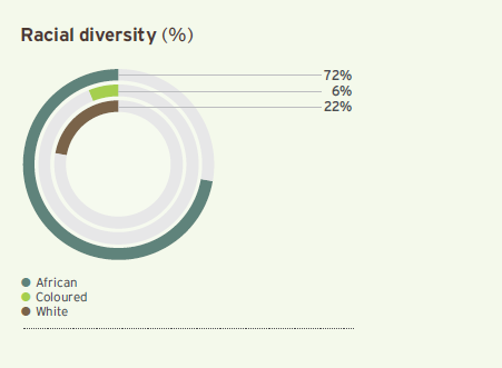 Racial diversity (%) graph
