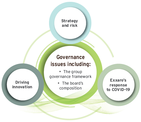 Governance Issues Diagram