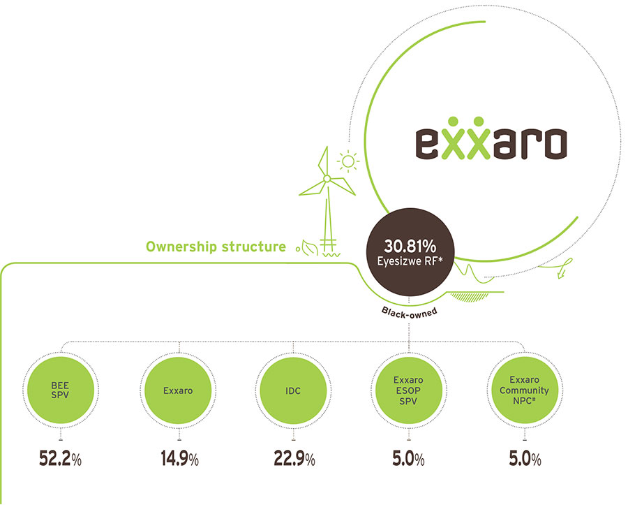 ownership structure