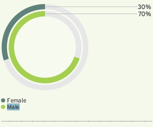 Executive gender proportion (%)