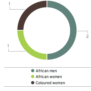 Gender and racial diversity