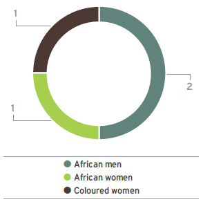 Gender and racial diversity