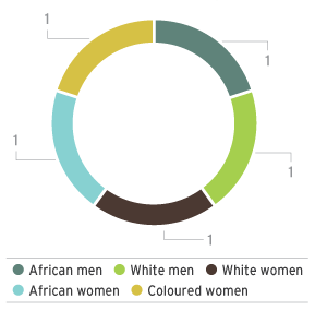 Gender and racial diversity