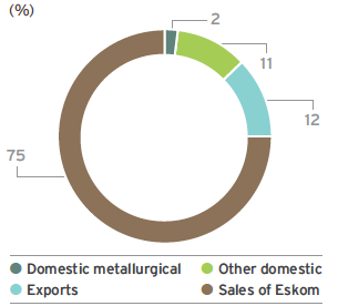 Coal sales by product tonnes (%)