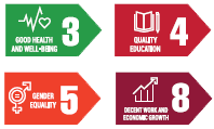 SDG icons