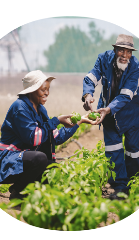 Our social impact