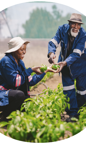 Our social impact