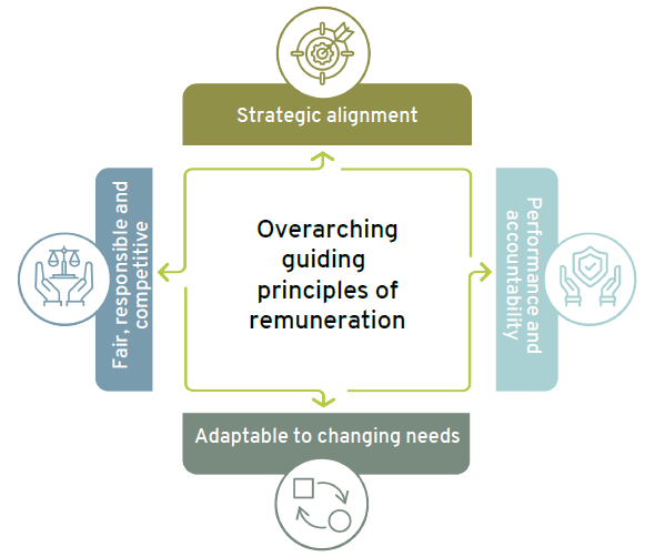 Remunaration principles