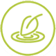 Natural capital