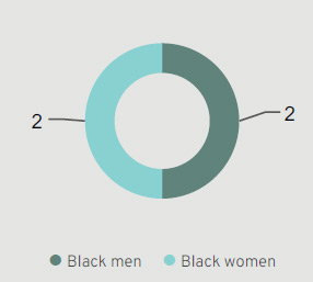 Gender and racial diversity