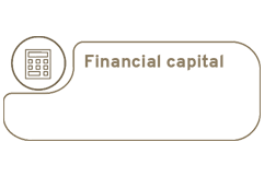 financial capital