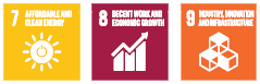 Financial capital sdgs