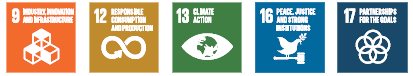 Intellectual capital sdgs