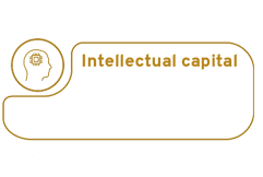 financial capital