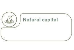 financial capital